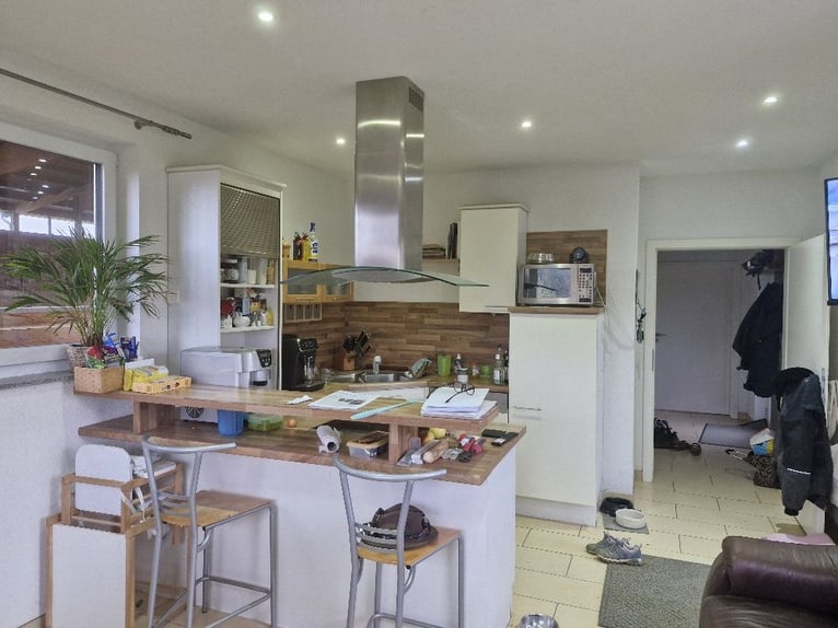 Centro ecuestre junto al lago