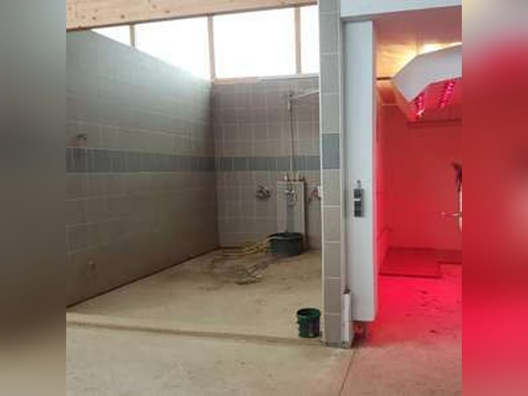 Centro ecuestre junto al lago