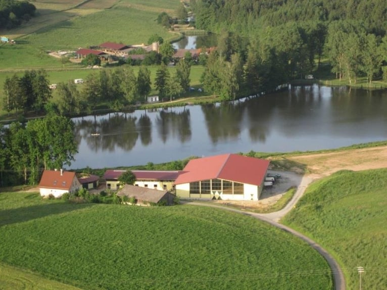 Centro ecuestre junto al lago