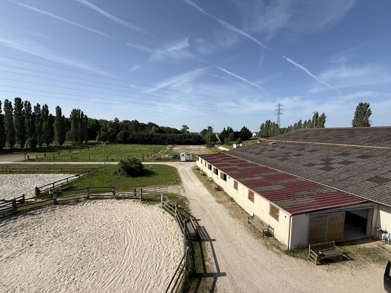 Centro ecuestre profesional en Sena y Marne