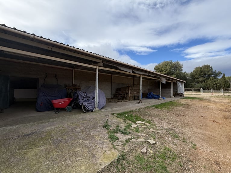 CENTRO HIPICO EN CASTELLON NORTE