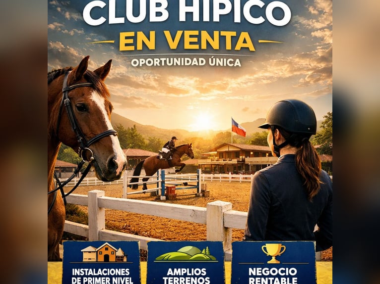 CENTRO HIPICO EN CASTELLON NORTE