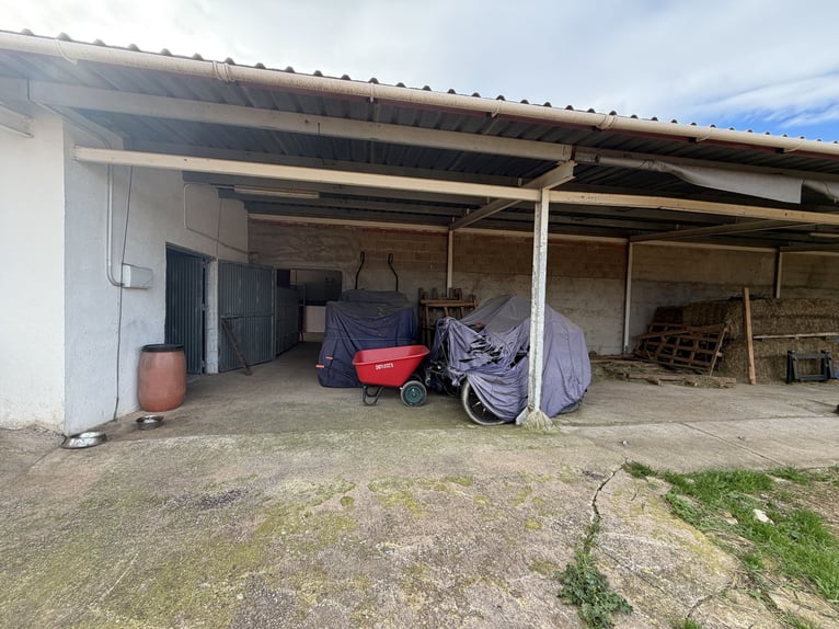 CENTRO HIPICO EN CASTELLON NORTE