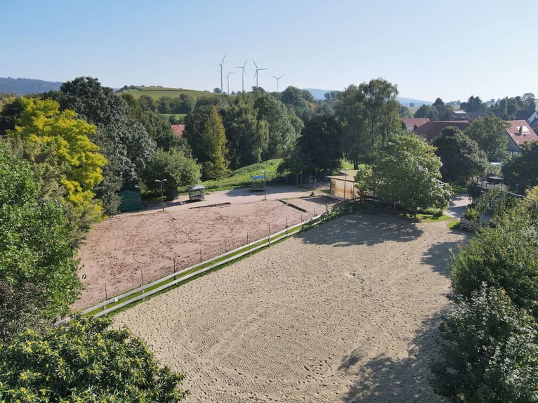 Charmantes Bauernhaus mit artengerechter Pferdehaltung und vielen weiteren Möglichkeiten