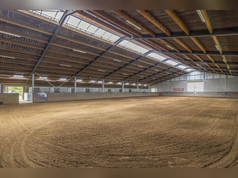COMPACT EQUESTRIAN COMPLEX