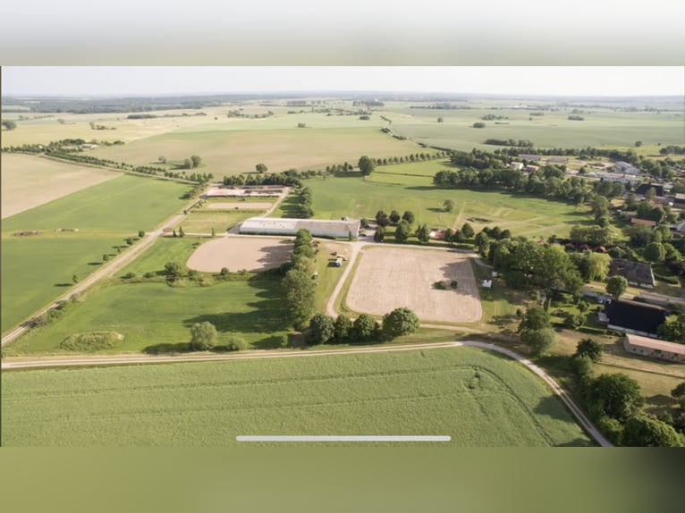 Complejo ecuestre de 15 hectáreas cerca del Mar Báltico – parcelas consolidadas
