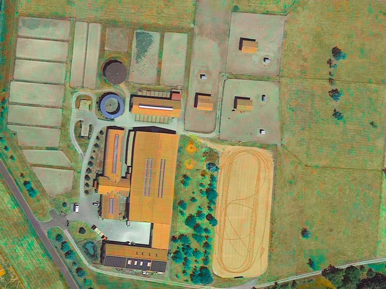 Complejo ecuestre de gran tamaño para deportes de alto nivel en Franconia V14177 – sin comisión