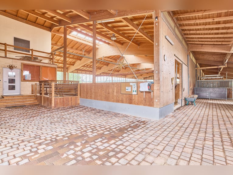 Complejo ecuestre en venta en Baviera – con alta comodidad residencial y amplias instalaciones de en