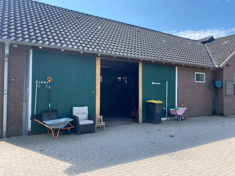 Complejo ecuestre versátil con amplia casa bifamiliar en Hude (distrito de Oldenburg)