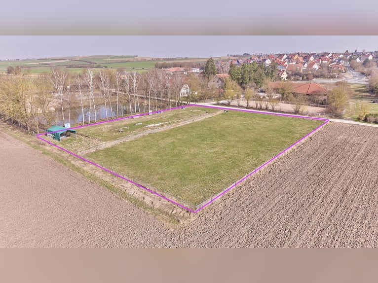 Compra de una finca ecuestre en el distrito de Kitzingen con una casa moderna de vivienda construida