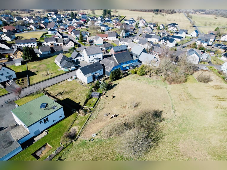 Einfamilienhaus mit Pferde- bzw. Tierhaltung und weiteren Nutzungsmöglichkeiten