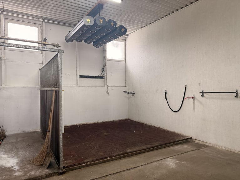 EN ALQUILER. Pabellón de establos con 12 boxes y muchas opciones, al sur de Berlín — ideal para una
