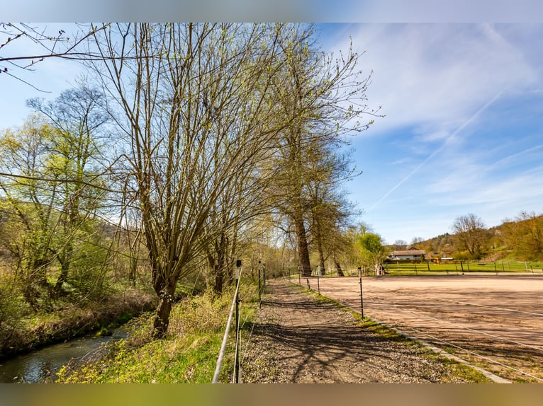 Encantadora casa de campo con área para caballos desarrollada en Zeilarn (al este de Múnich), sin co