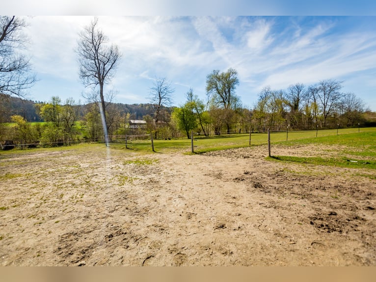 Encantadora casa de campo con área para caballos desarrollada en Zeilarn (al este de Múnich), sin co