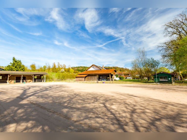 Encantadora casa de campo con área para caballos desarrollada en Zeilarn (al este de Múnich), sin co