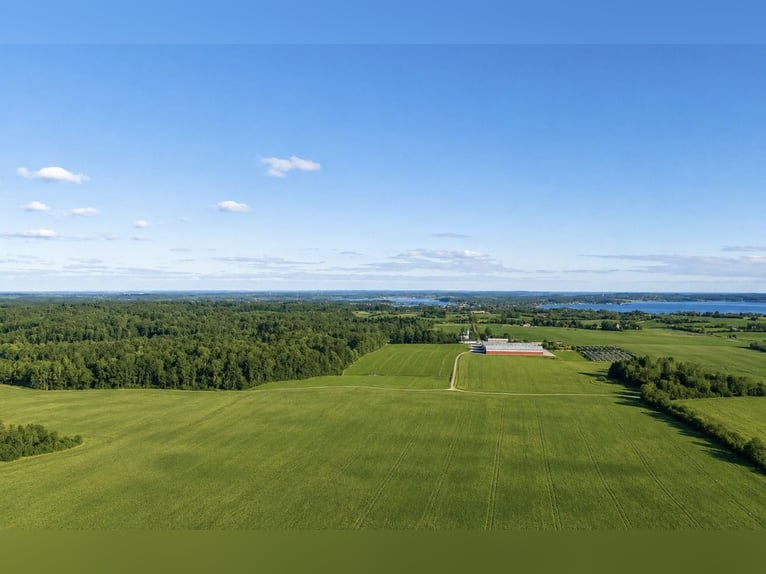 Encantadora casa de campo con instalaciones ecuestres de alta calidad en Sønderjylland, en una ubica