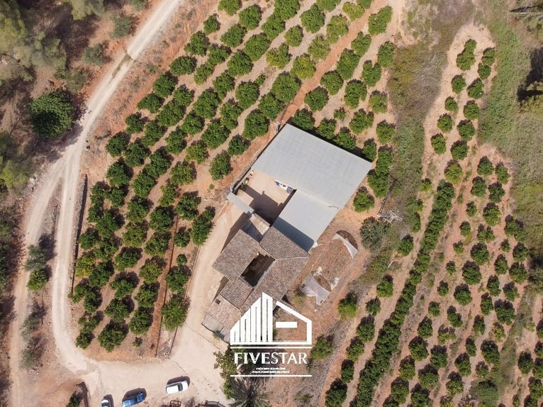 Encantadora finca para amantes, ideal para la cría de caballos