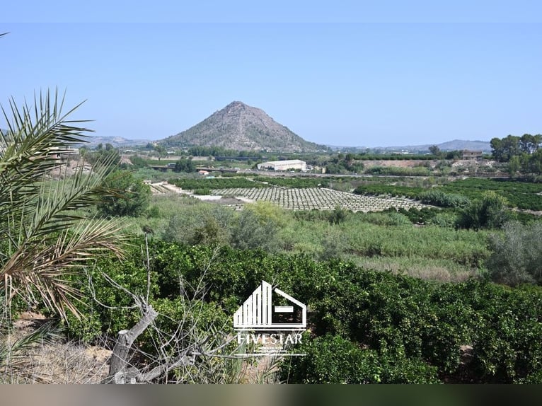Encantadora finca para amantes, ideal para la cría de caballos