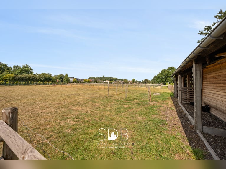 Encantadora propiedad con viñedo y praderas en 14.569 m² en Wachtebeke | Bélgica