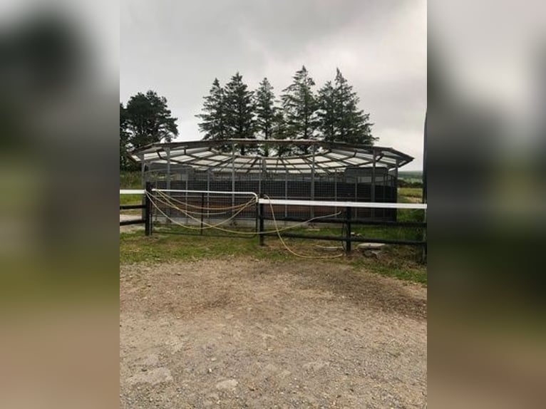 Equestrian Centres for sale in Mallow