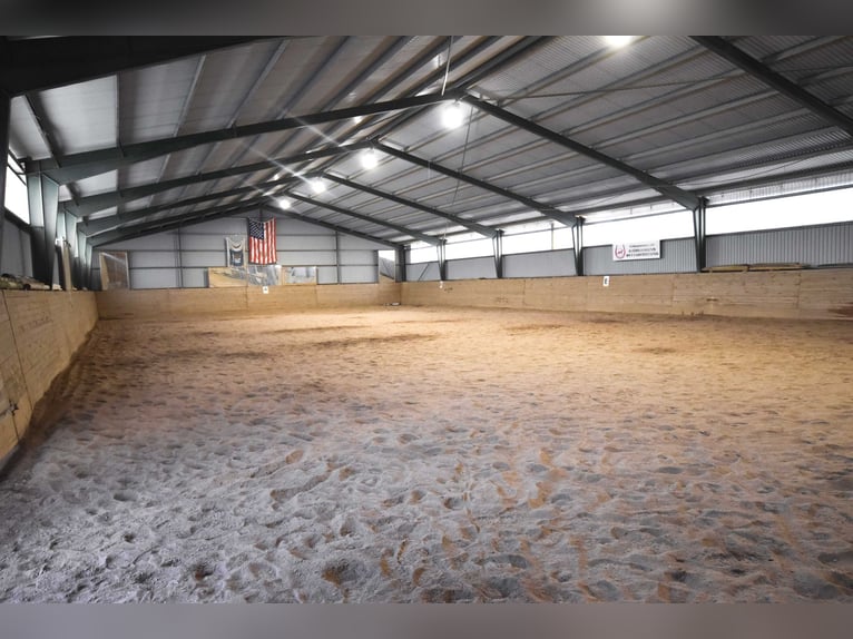 Equestrian Estate with Indoor Arena, 18 Horse Boxes, and Guest Cottages –