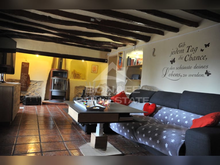 Equestrian Estate with Stable for 12 Horses and Riding Arena