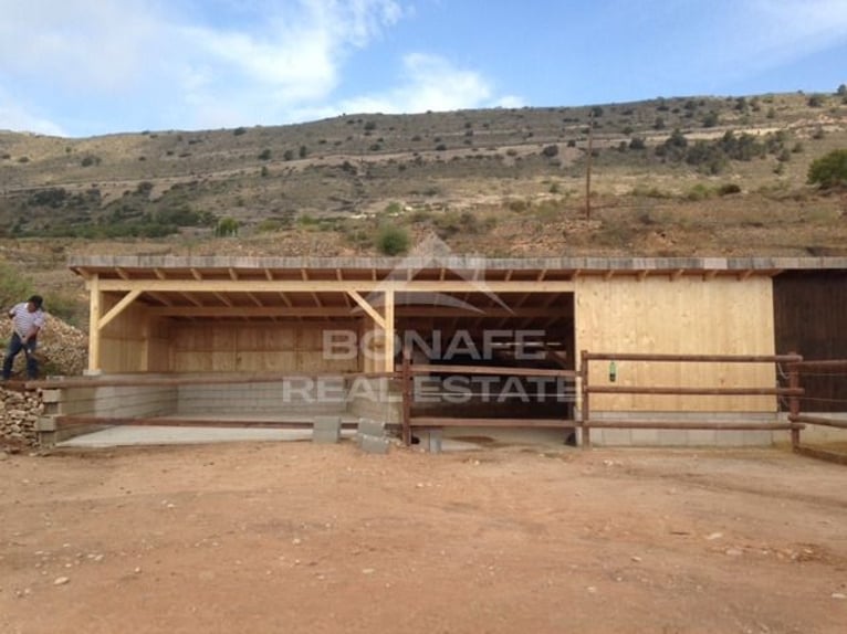 Equestrian Estate with Stable for 12 Horses and Riding Arena