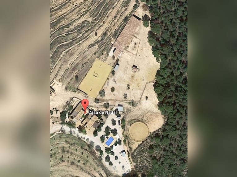 Equestrian Estate with Stable for 12 Horses and Riding Arena