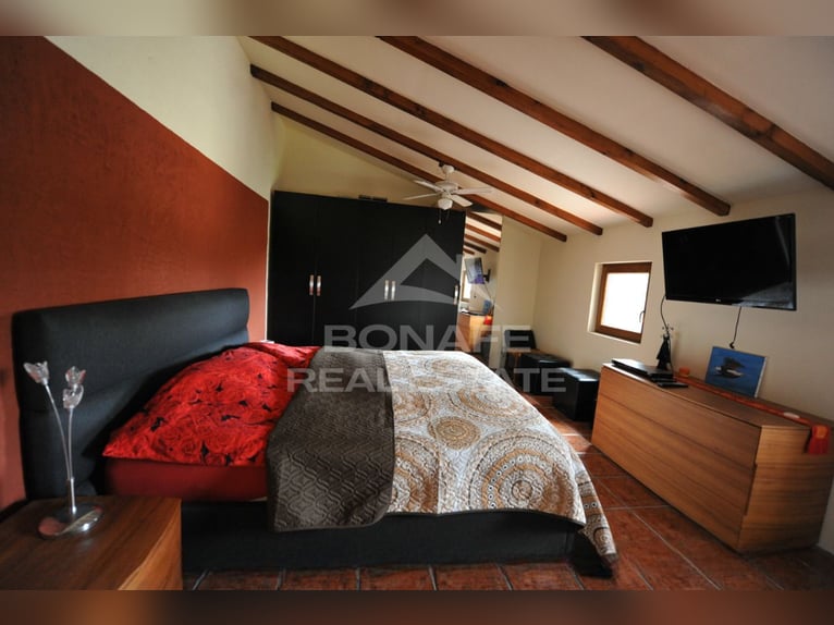Equestrian Estate with Stable for 12 Horses and Riding Arena