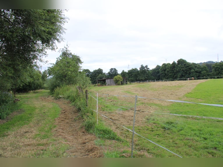 Establecida finca y centro ecuestre – aproximadamente 8 hectáreas de terreno consolidado – de uso ve