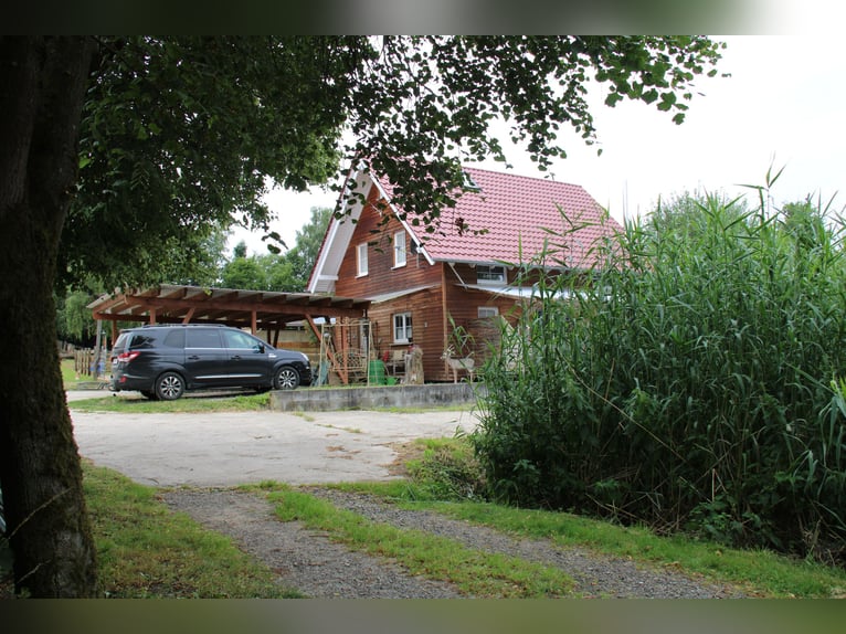 Establecida finca y centro ecuestre – aproximadamente 8 hectáreas de terreno consolidado – de uso ve