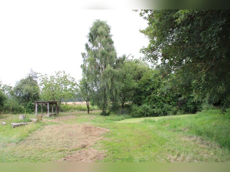Establecida finca y centro ecuestre – aproximadamente 8 hectáreas de terreno consolidado – de uso ve