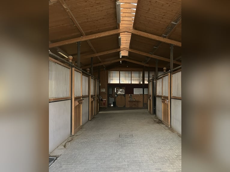 Establo de deporte de alta gama