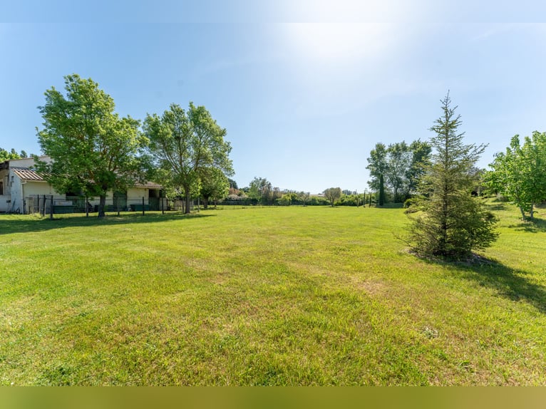 Establo de deporte de alta gama