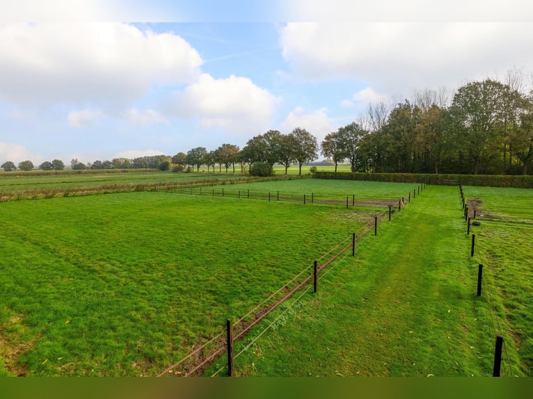 Estate with Professional Equestrian Facilities and Spacious Living Options