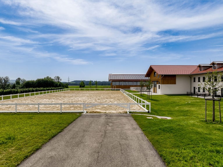 Excepcional instalación de equitación de nueva construcción cerca de Kempten en Allgäu