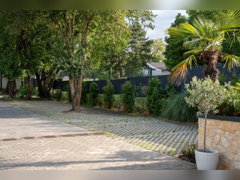 Exclusiva finca ecuestre con casa de vivienda modernamente reformada, pista cubierta y amplias prade