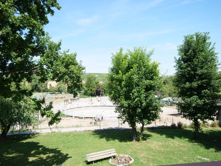 Exclusiva finca ecuestre con casa de vivienda modernamente reformada, pista cubierta y amplias prade