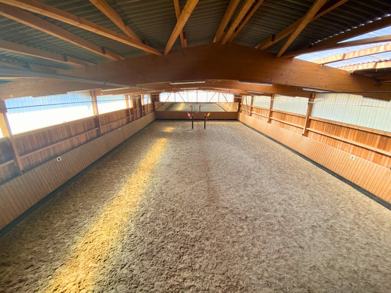 Exclusiva finca ecuestre con indoor y opciones de vivienda versátiles en Hesse