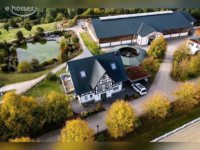 Exclusiva finca ecuestre con vivienda unifamiliar y dos casas residenciales/de huéspedes en aproxima