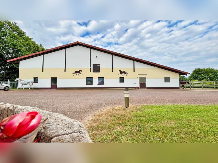 Exclusiva instalación ecuestre con amplia casa de vivienda y múltiples opciones de uso en Bielefeld
