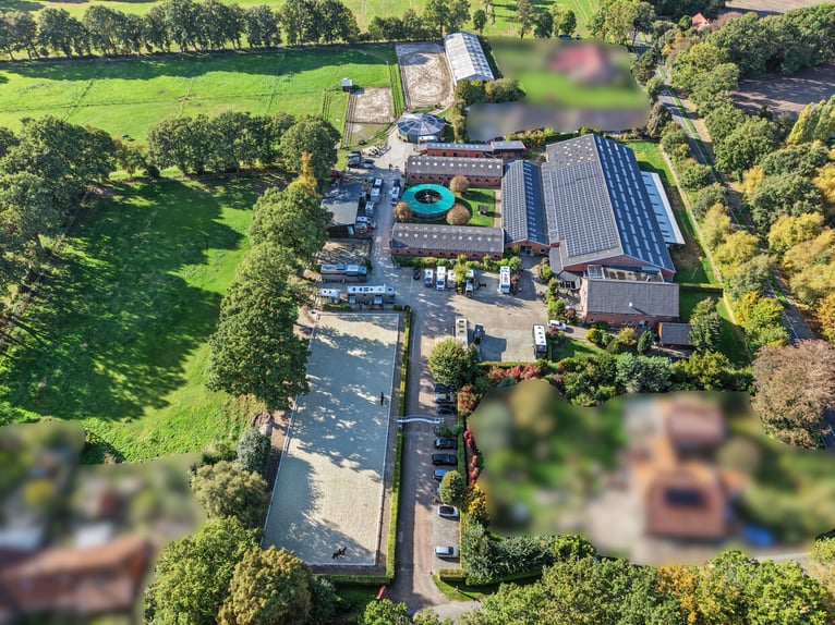Exclusiva instalación ecuestre con equipamiento de primera categoría. Licencia disponible para una a