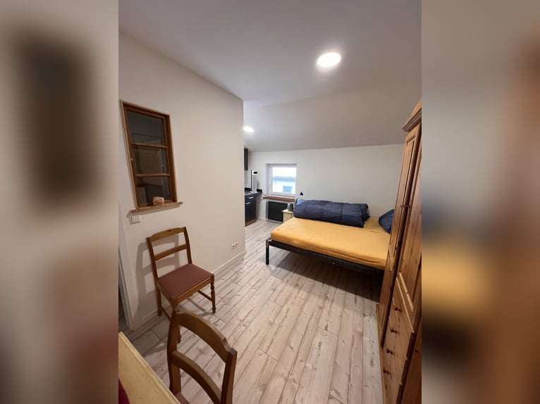 Exclusiva instalación ecuestre con potencial residencial y de inversión en Allgäu