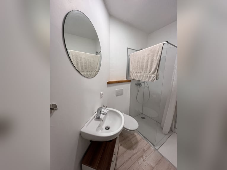 Exclusiva instalación ecuestre con potencial residencial y de inversión en Allgäu