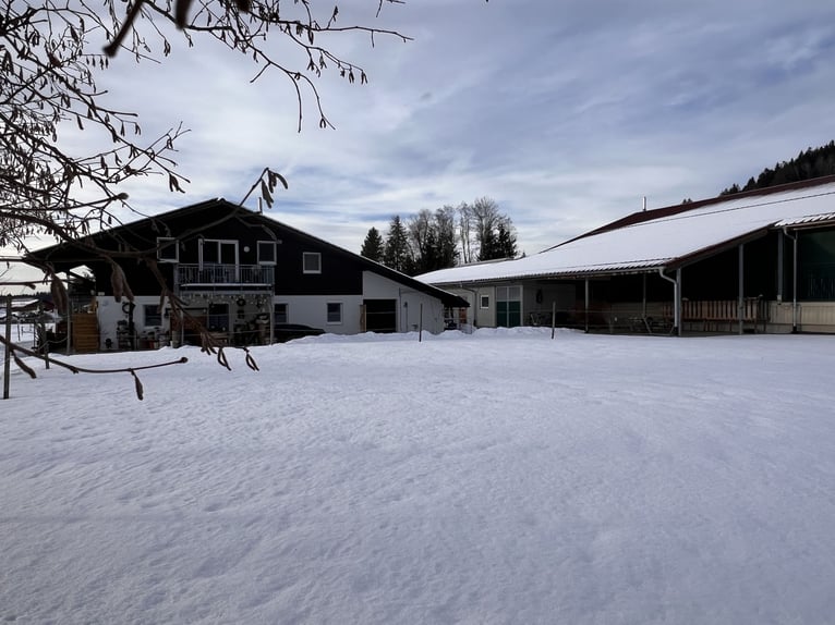 Exclusiva instalación ecuestre con potencial residencial y de inversión en Allgäu