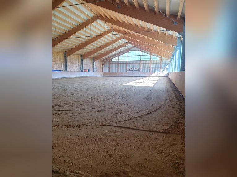 Exclusiva instalación ecuestre con potencial residencial y de inversión en Allgäu