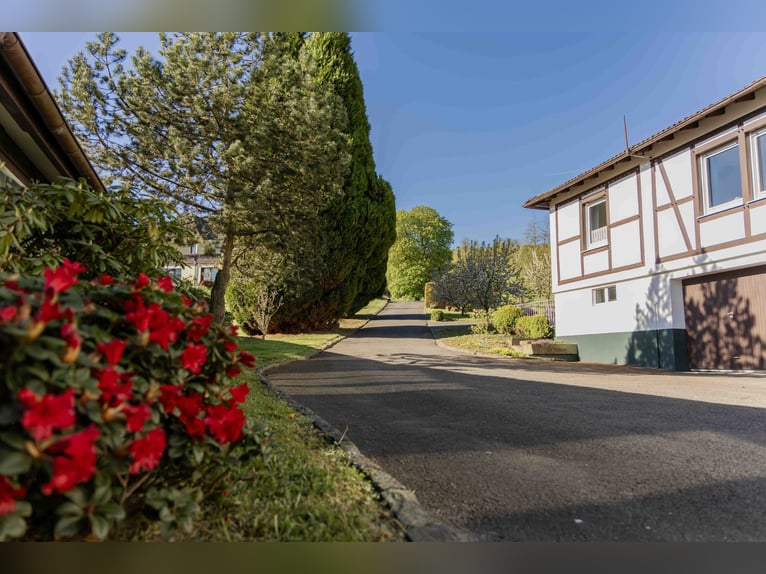Exclusiva instalación ecuestre en Sauerland | Casa de campo, apartamentos turísticos, pista cubierta