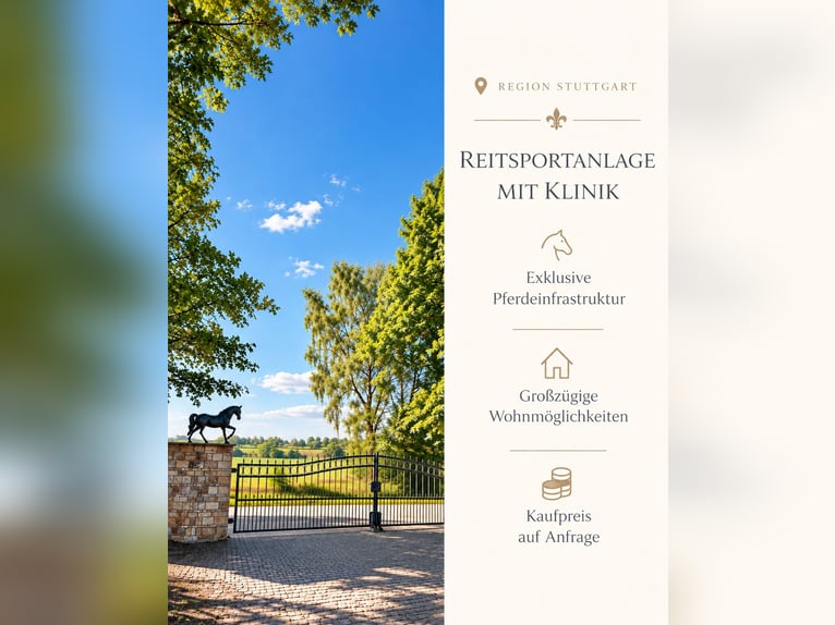 Exclusivo centro ecuestre con clínica y área de rehabilitación equina cerca de Stuttgart