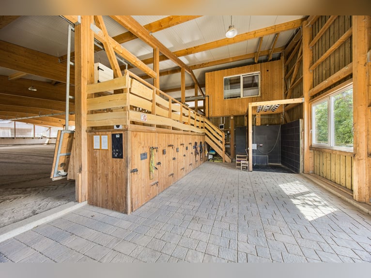 Exclusivo haras con una casa de campo jurásica renovada con premios, que incluye un concepto energét