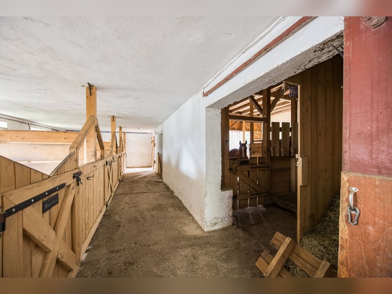 Exclusivo haras con una casa de campo jurásica renovada con premios, que incluye un concepto energét